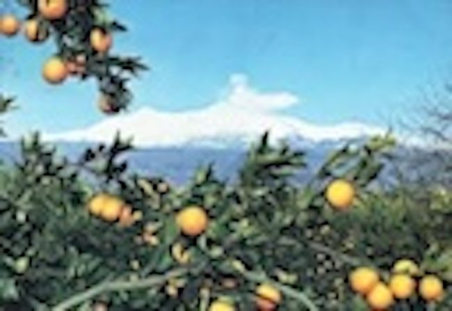 Agricoltura, 2,9 milioni per il nuovo impianto di sollevamento Sigona nell’invaso di Lentini