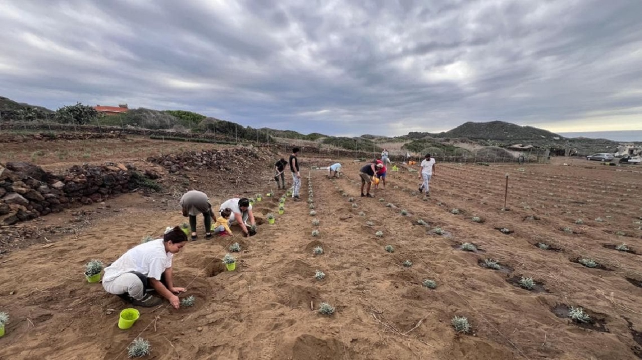 Progetto “Nereidee”, riqualificare i terreni abbandonati di Linosa