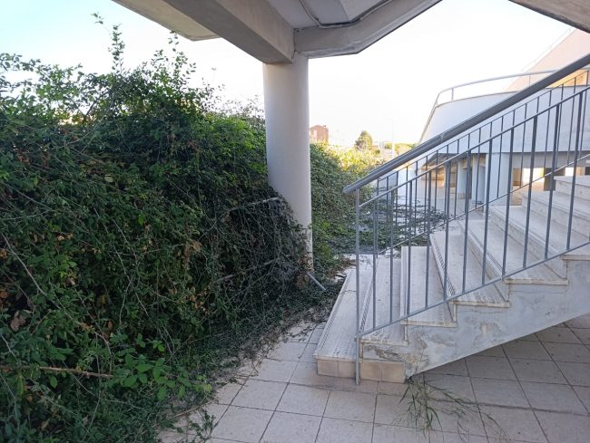 La denuncia del consigliere Salvo Spadaro sul centro polifunzionale di San Leone: “Profondo degrado”