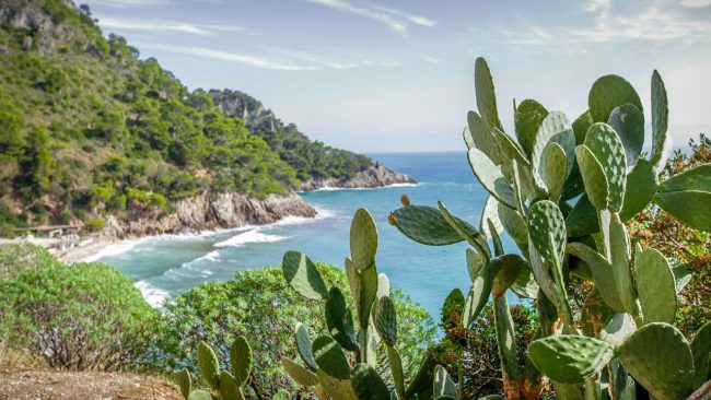 Un anno di ambiente, il 2025 della Sicilia riassunto mese per mese