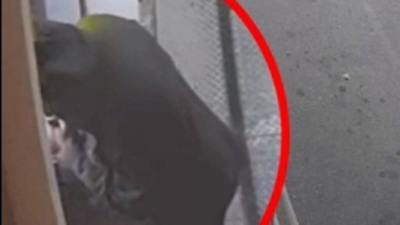 Acireale, svuota il conto di un’anziana: denunciato 58enne Acireale, svuota il conto di un’anziana: denunciato 58enne