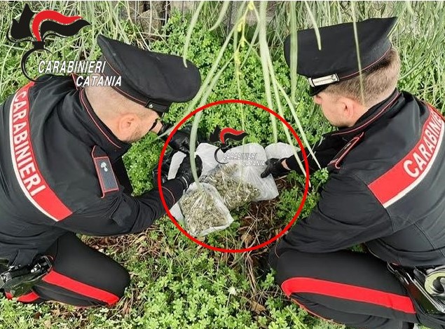 Librino, maxi-sequestro di marijuana: i carabinieri recuperano oltre un chilo di droga