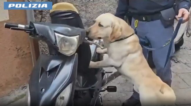 Controlli nel quartiere San Cristoforo di Catania: sequestrate dosi di droga e munizioni – VIDEO