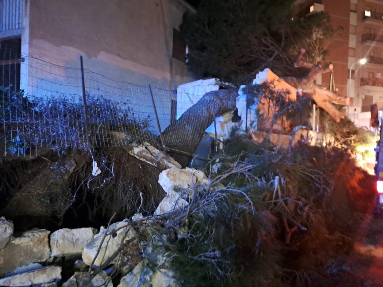 Erice, un grosso albero crolla e distrugge un magazzino