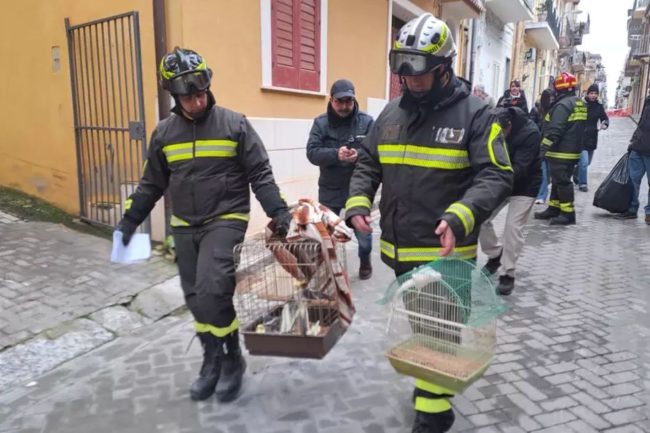 Due sfollati anziani di Niscemi in lacrime, Ciciliano: “Bisogna pensare alla re-localizzazione dei cittadini”