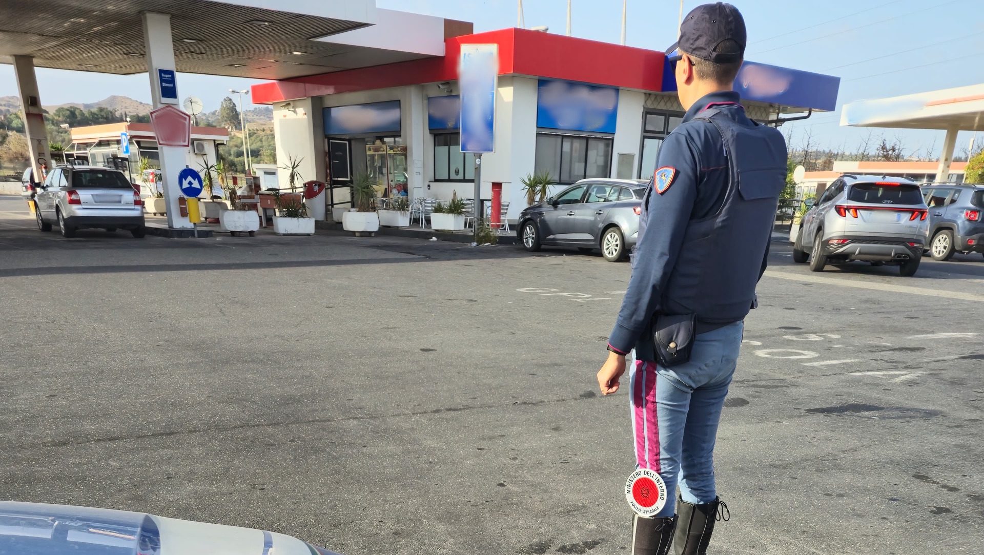 Dieci vitellini ammassati nel retro di un furgoncino: tre denunce a Catania Dieci vitellini ammassati nel retro di un furgoncino: tre denunce a Catania