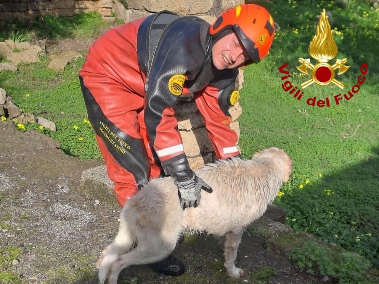 Catania, cane cade in una cisterna: salvato dai Vigili del Fuoco