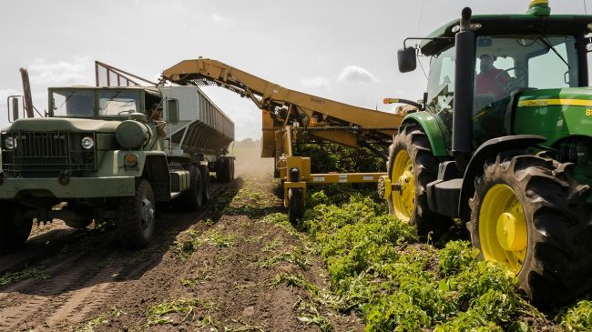 Ciclone Harry, l’assessorato regionale dell’Agricoltura invita le imprese a segnalare i danni subiti