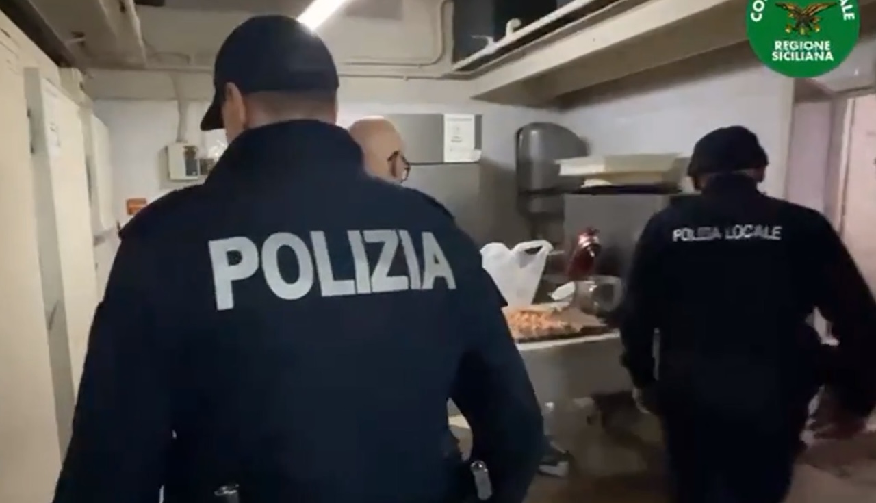 Blatte, insetti nella farina e cibo scaduto: chiuso un bar in zona piazza Risorgimento