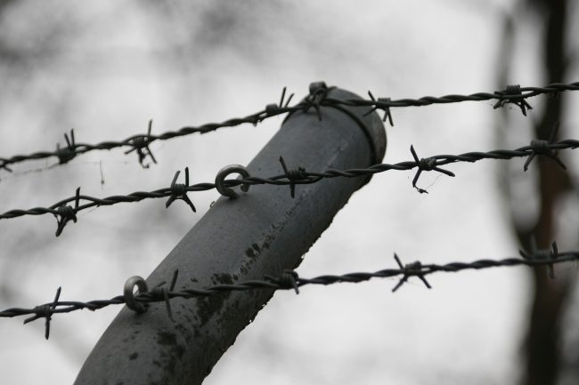 Giornata della memoria, ricordare il passato per migliorare il futuro