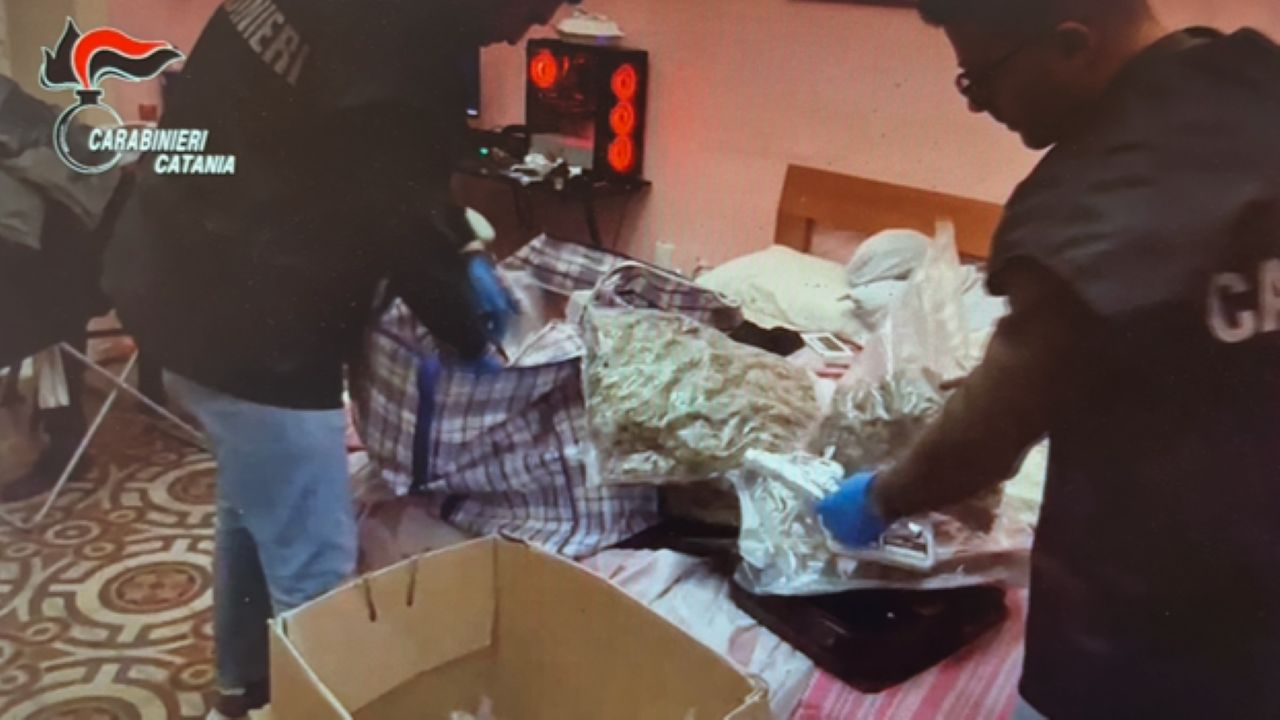 Maxi sequestro di droga a Picanello: quasi 15 kg tra marijuana, hashish e funghi allucinogeni. Due arresti