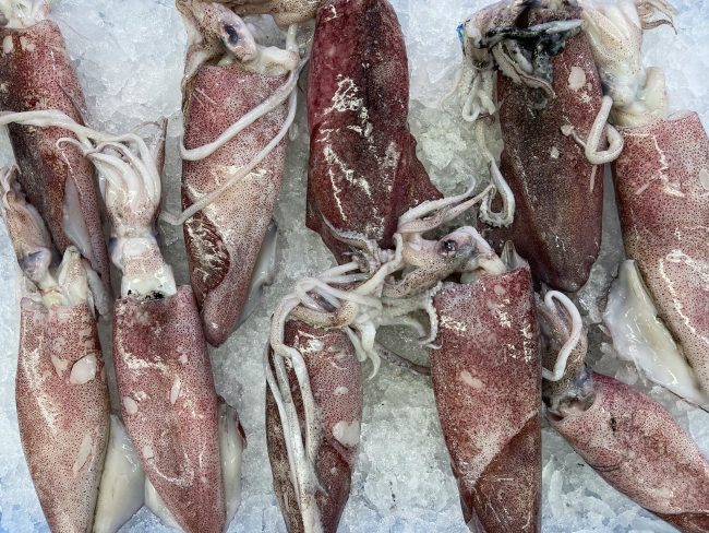 Palermo, sequestrate 21 tonnellate di totano argentino