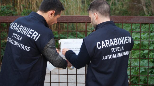 Truffa ai contributi agricoli in provincia di Messina: sequestro da 454mila euro a quattro imprenditori