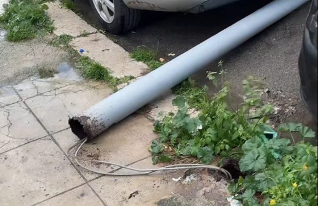Palermo e provincia sotto scacco del maltempo: cadono alberi e pali della luce