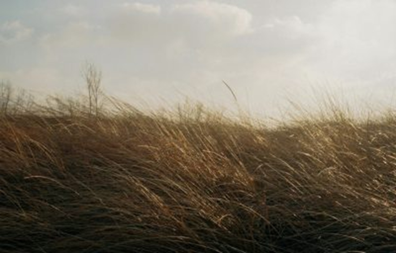 Allerta venti in Sicilia. Forti raffiche fino a 100 km/h dalla notte a domenica – LE RACCOMANDAZIONI