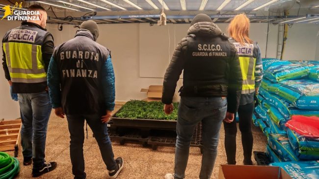 Traffico internazionale di droga tra Sicilia e Spagna: arresti, sequestri e piantagioni smantellate