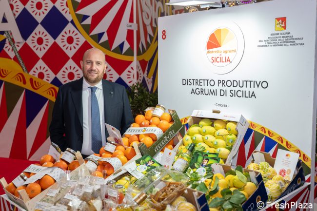 Ciclone Harry, il Distretto Agrumi Sicilia al Governo: “Calamità naturale subito e misure straordinarie per salvare le imprese”
