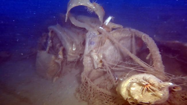 Ritrovamento Brucoli