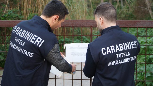 Truffa ai danni dell’Unione Europea: smantellata associazione in Sicilia. Nel mirino fondi agricoli comunitari