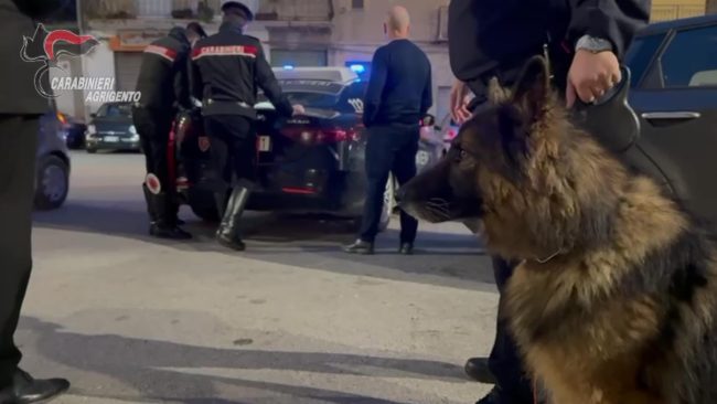 Agrigento, controlli nel centro: “Vero” e “Conan” fiutano la droga, tre segnalazioni alla Prefettura