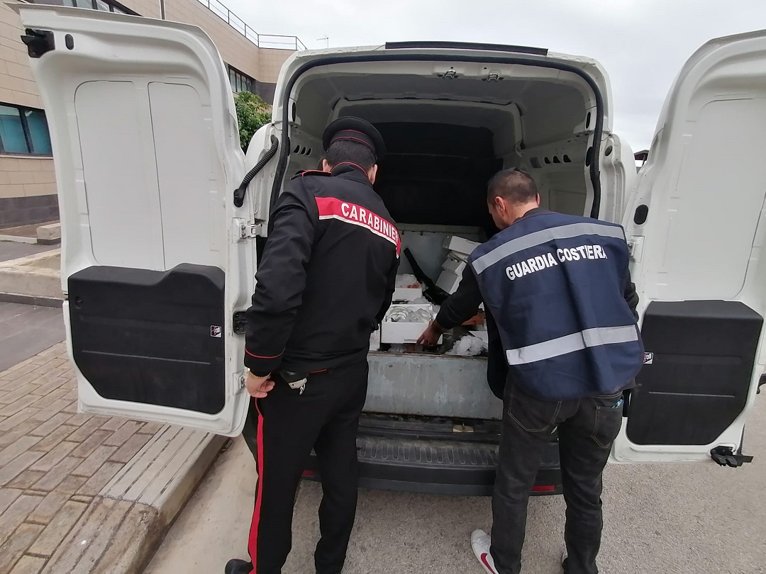 Sicurezza alimentare, sequestrati 82 kg di pesce a Palermo