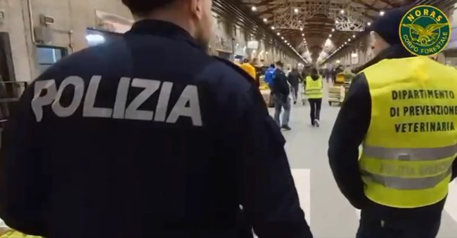 Controlli al MAAS di Catania, sequestrate 4,5 tonnellate di prodotti: task force in campo per la sicurezza alimentare