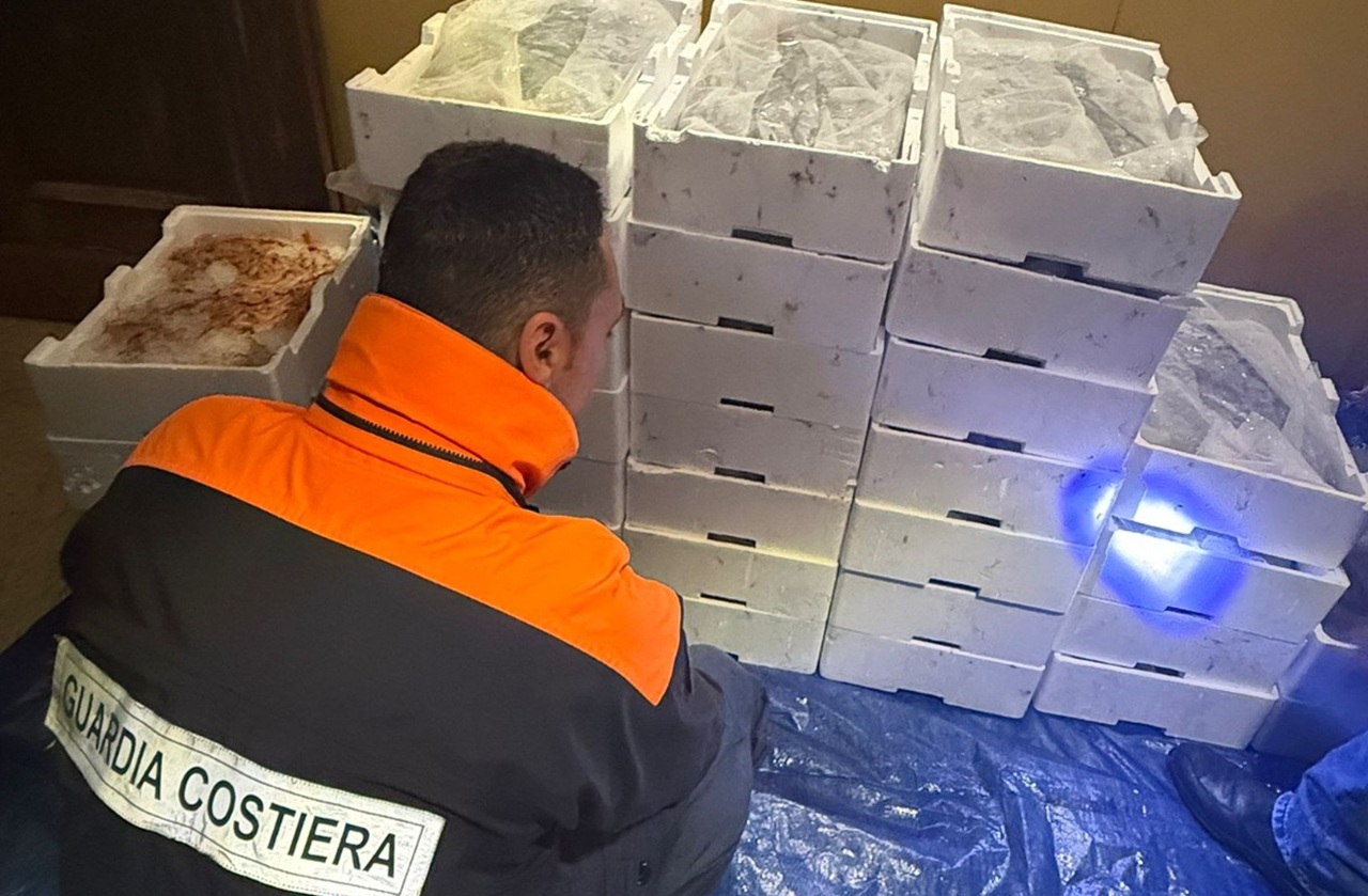 Messina, stretta contro la pesca illegale: sequestrati oltre 200 chili di novellame e gambero rosa