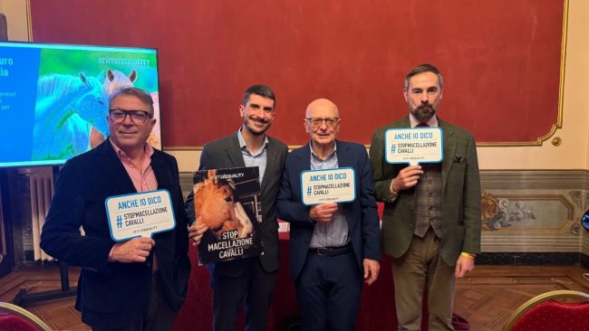 Il caso carne di cavallo. Politici ed esperti riuniti con Animal Equality per fare il punto sui problemi connessi a macellazione e consumo
