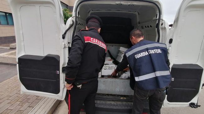 Palermo, sequestrati in tre diverse pescherie del capoluogo oltre 300 kg di pesce non registrato