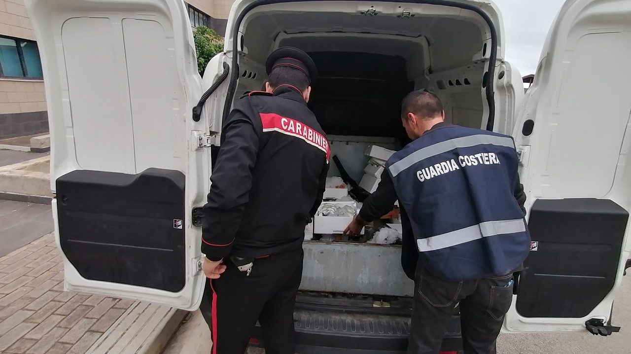 Palermo, sequestrati in tre diverse pescherie del capoluogo oltre 300 kg di pesce non registrato Palermo, sequestrati in tre diverse pescherie del capoluogo oltre 300 kg di pesce non registrato