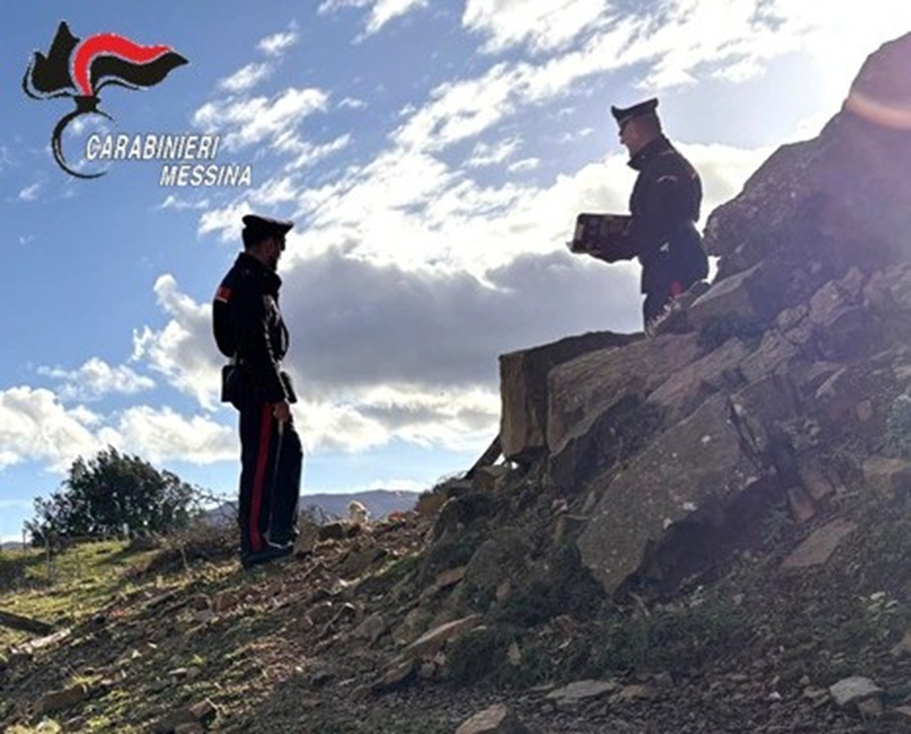 Estorsioni e animali uccisi per intimidire i rivali: allevatore ai domiciliari nel Messinese