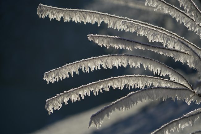 Una bufera di neve blocca 5 persone sull’Etna: l’intervento delle Autorità