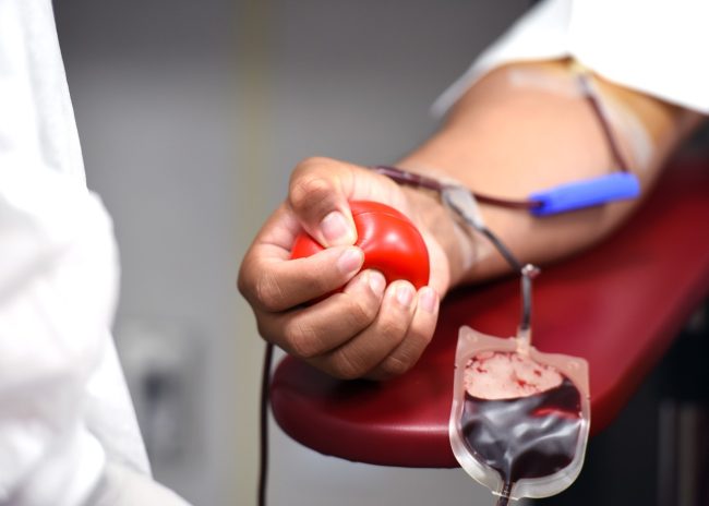 Donazione sangue, all’ospedale Cannizzaro di Catania gli esami di laboratorio si potranno consultare nel Fascicolo Sanitario Elettronico