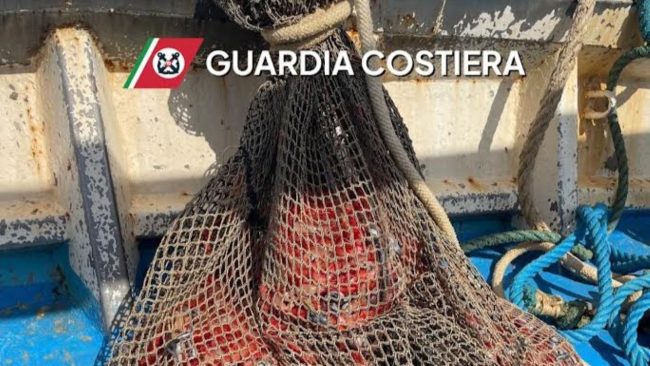 Sequestrato oltre un quintale di prodotto ittico ed attrezzatura da pesca nel Trapanese