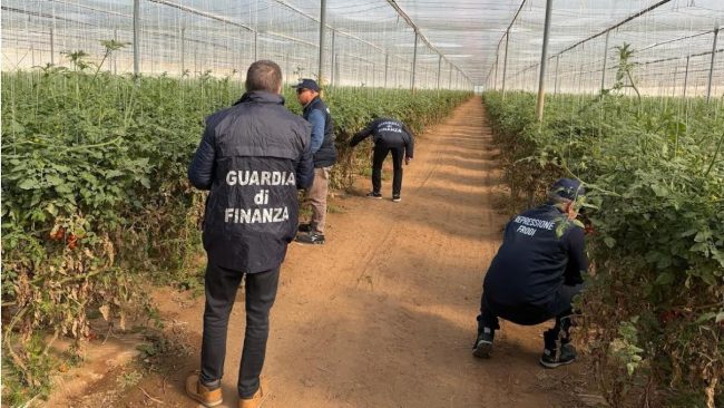 Pomodori contraffatti a Vittoria: denunciati due imprenditori