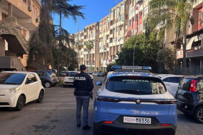 Catania, sequestrata mezza tonnellata di ortofrutta irregolare e sanzioni per oltre 18mila euro