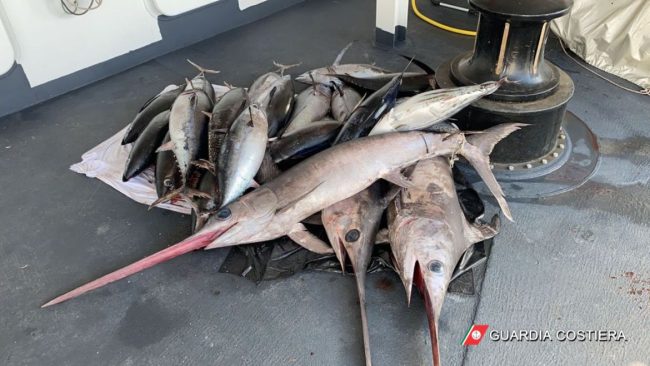 Pesce illegale e sequestri record: maxi operazione della Guardia Costiera in Sicilia orientale