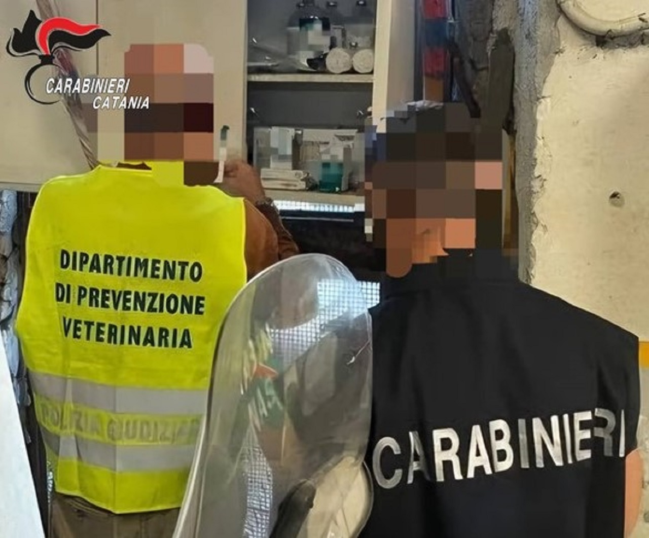 Cani rinchiusi in condizioni disumane: 82enne segnalato nel Catanese