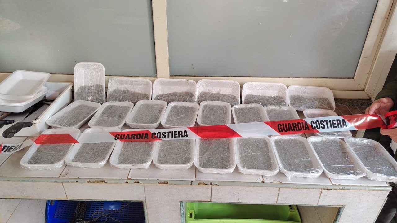 Messina, controlli nelle pescherie: sequestrato novellame di sarda vietato Messina, controlli nelle pescherie: sequestrato novellame di sarda vietato