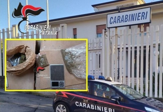 Acireale, aveva allestito una mini-serra di marijuana nell’armadio: arrestato 32enne