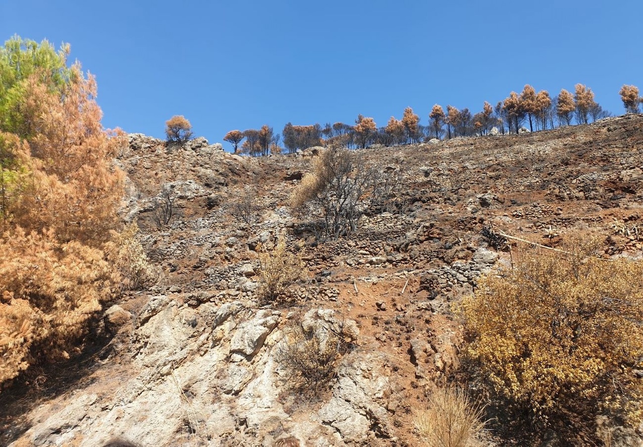 Dissesto idrogeologico a Monreale: 5 milioni per la messa in sicurezza di tre contrade