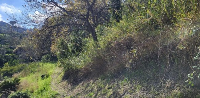 Frane a San Pier Niceto, bando da 3,8 milioni per mettere in sicurezza contrada Ringa