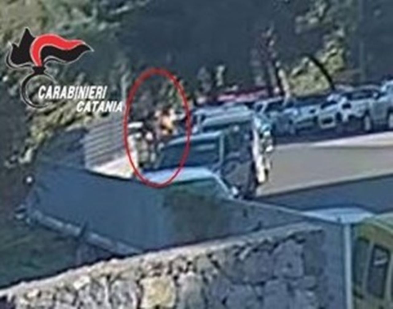 Ruba un trolley da un’auto parcheggiata: denunciato 19enne nel Catanese