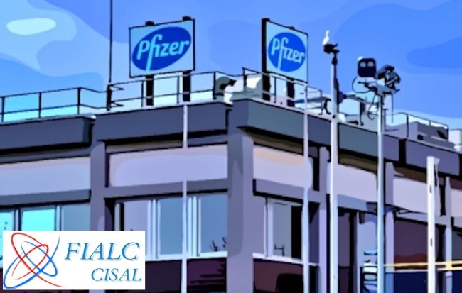 Elezioni RSU Pfizer Catania: affermazione della FIALC-CISAL che conquista 4 seggi su 11