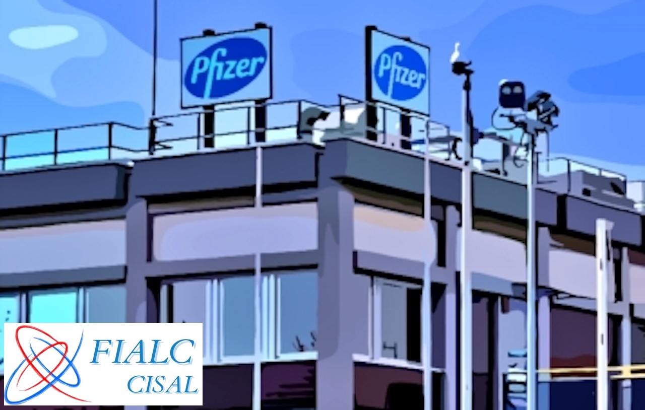 Elezioni RSU Pfizer Catania: affermazione della FIALC-CISAL che conquista 4 seggi su 11