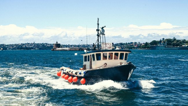 Bando pesca: pubblicata la graduatoria per i pescherecci assegnatari del finanziamento