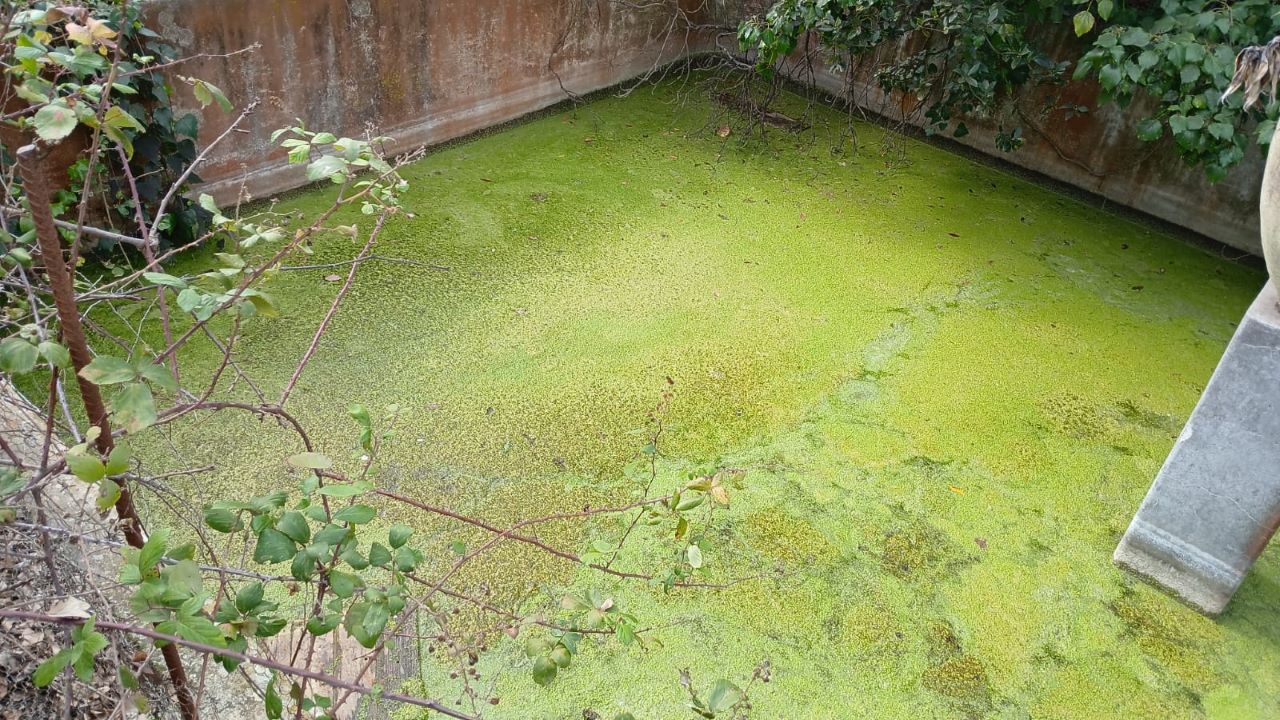 Ex calciatore del Catania salva donna e cane caduti in una vasca d’acqua