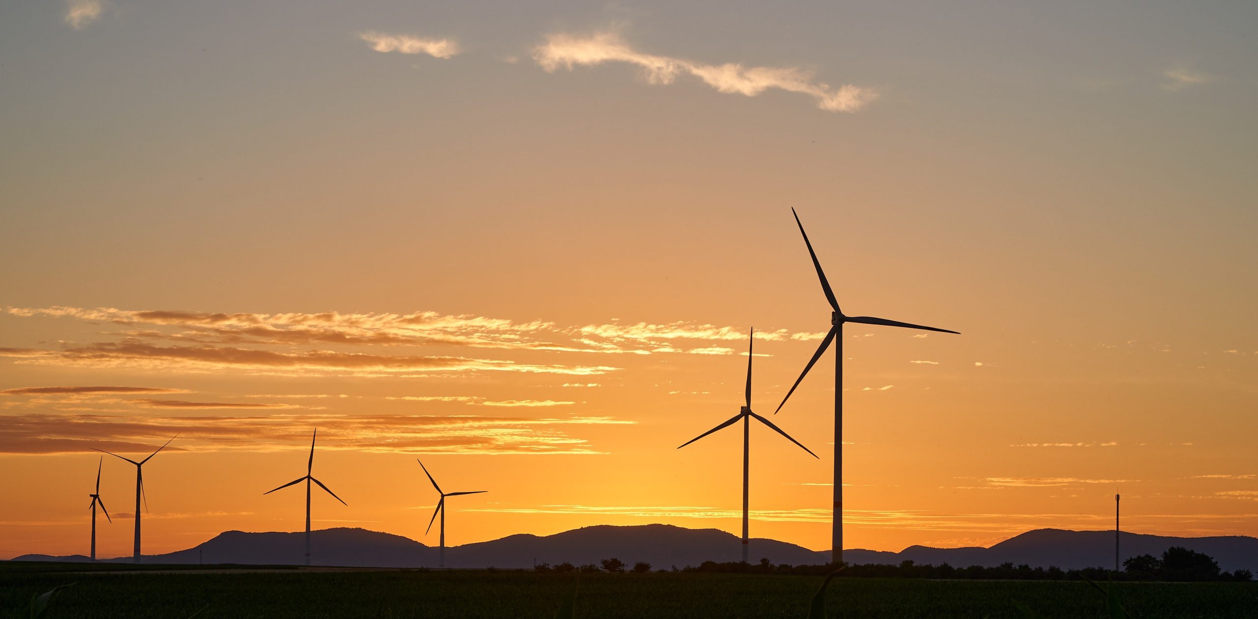 Energia, avviso Fesr da 80 milioni per i gestori della distribuzione. Schifani e Colianni: “Investimento su reti intelligenti per valorizzare le rinnovabili”