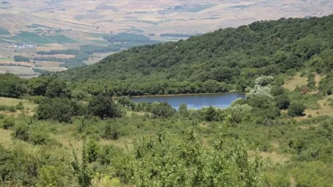 Tartufo siciliano a rischio: l’allarme delle associazioni micologiche