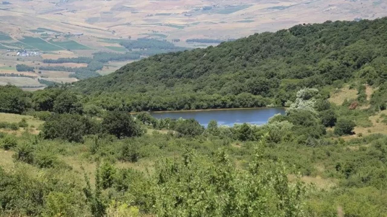 Tartufo siciliano a rischio: l’allarme delle associazioni micologiche Tartufo siciliano a rischio: l’allarme delle associazioni micologiche